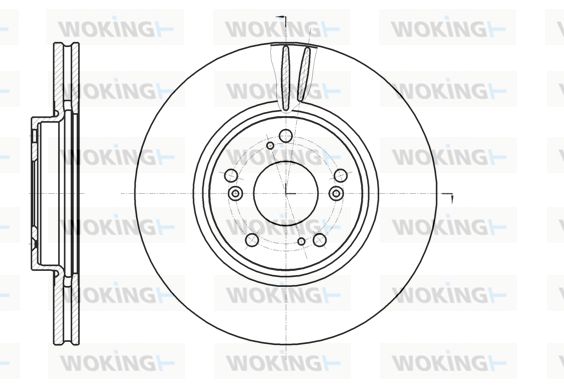 WOKING Bremžu diski D61218.10