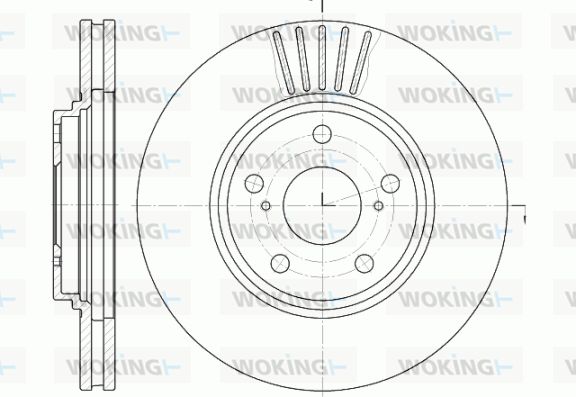 WOKING Bremžu diski D61228.10