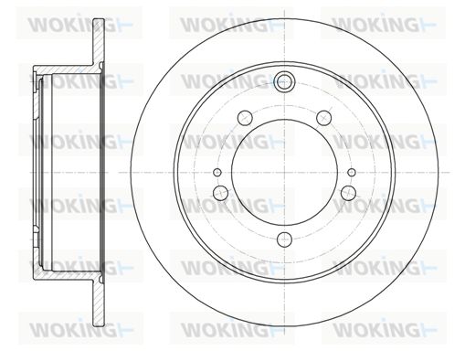 WOKING Bremžu diski D61230.00