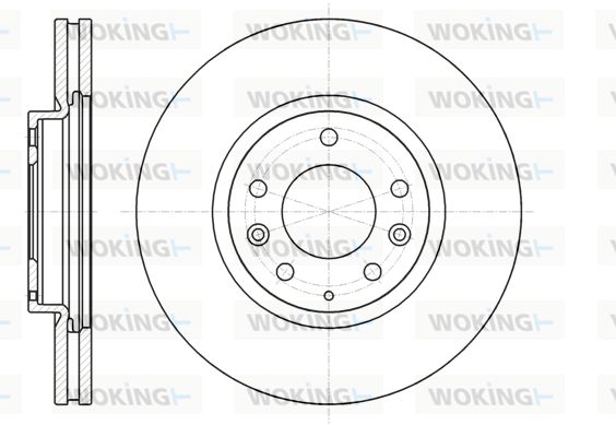 WOKING Bremžu diski D61236.10