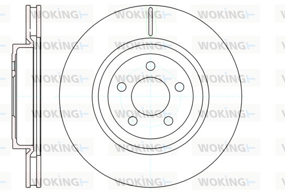 WOKING Bremžu diski D61269.10