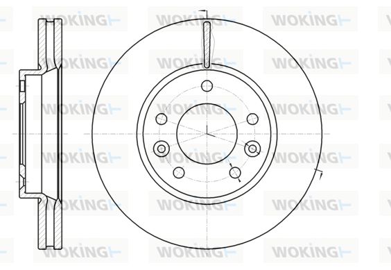 WOKING Bremžu diski D61294.10