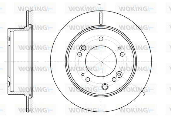 WOKING Bremžu diski D61306.10