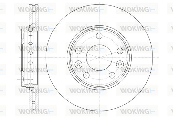 WOKING Bremžu diski D61346.10