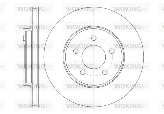 WOKING Bremžu diski D61376.10