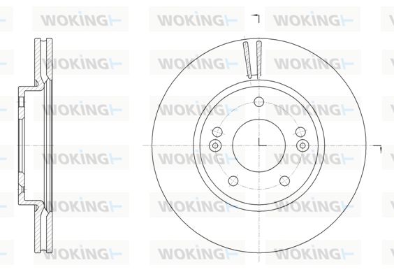 WOKING Bremžu diski D61507.10