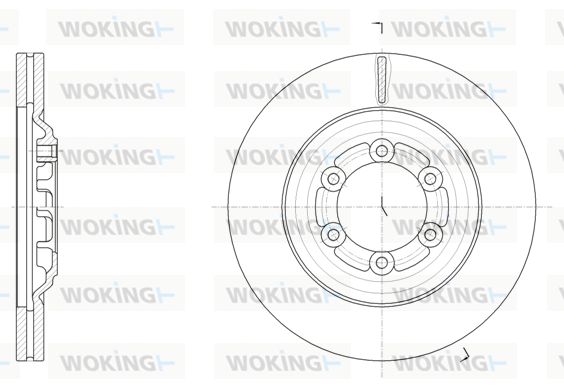 WOKING Bremžu diski D61510.10