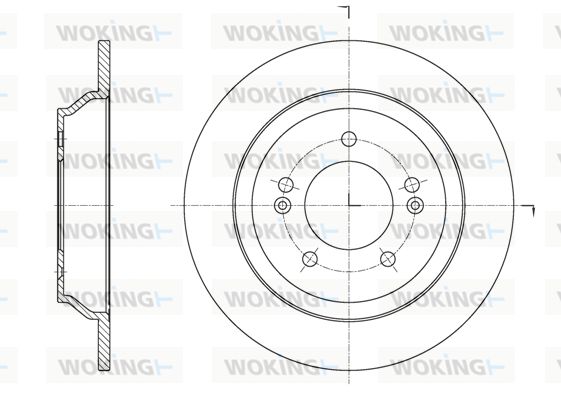 WOKING Bremžu diski D61572.00