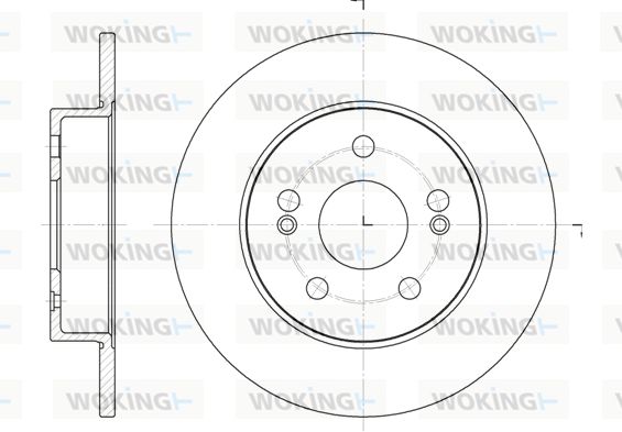 WOKING Bremžu diski D6239.01