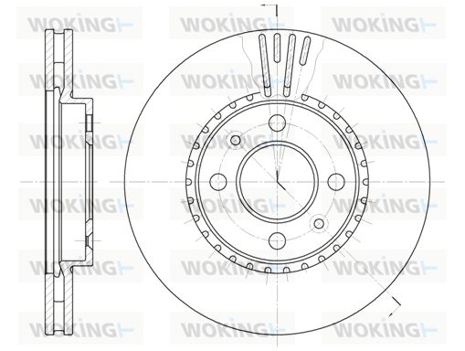 WOKING Bremžu diski D6302.10