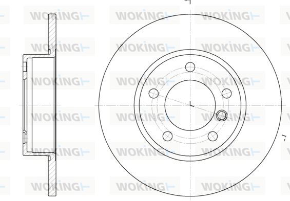 WOKING Bremžu diski D6323.00