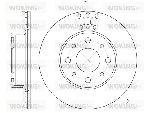 WOKING Bremžu diski D6517.10