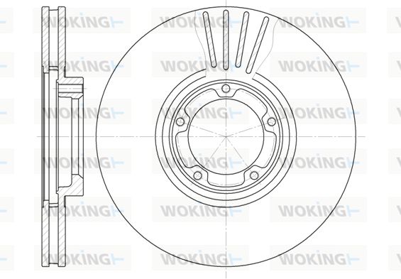 WOKING Bremžu diski D6519.10