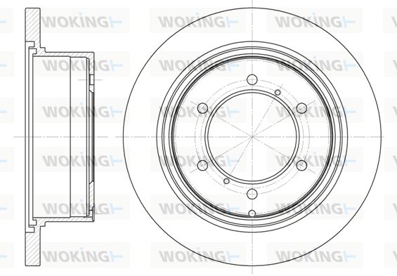 WOKING Bremžu diski D6552.00