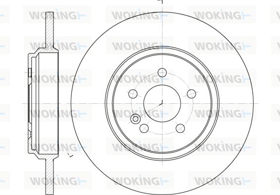 WOKING Bremžu diski D6631.00