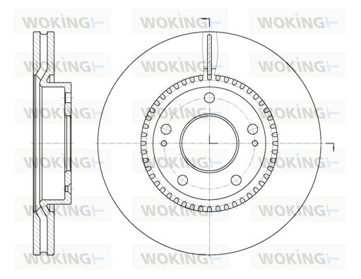 WOKING Bremžu diski D6663.10