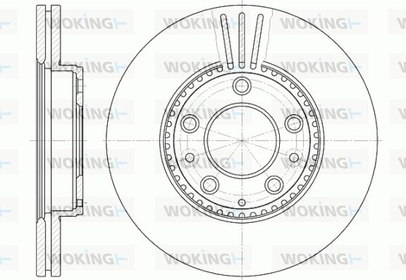 WOKING Bremžu diski D6673.10