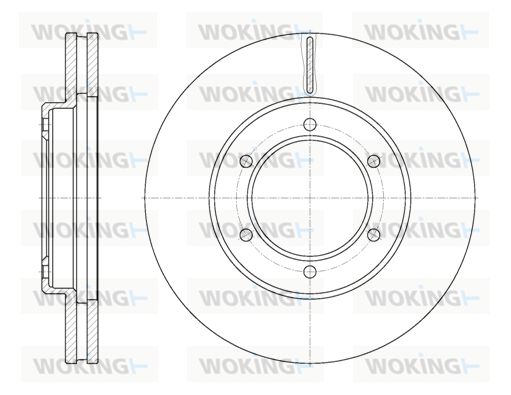 WOKING Bremžu diski D6702.10