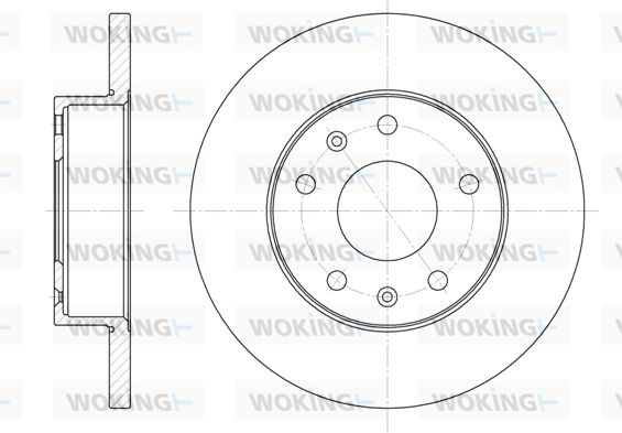 WOKING Bremžu diski D6721.00