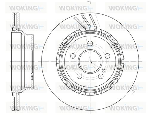 WOKING Bremžu diski D6760.10