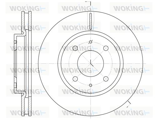 WOKING Bremžu diski D6890.10