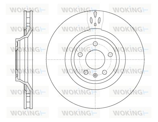 WOKING Bremžu diski D6942.10