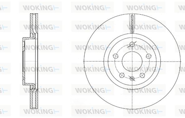 WOKING Bremžu diski D6972.10